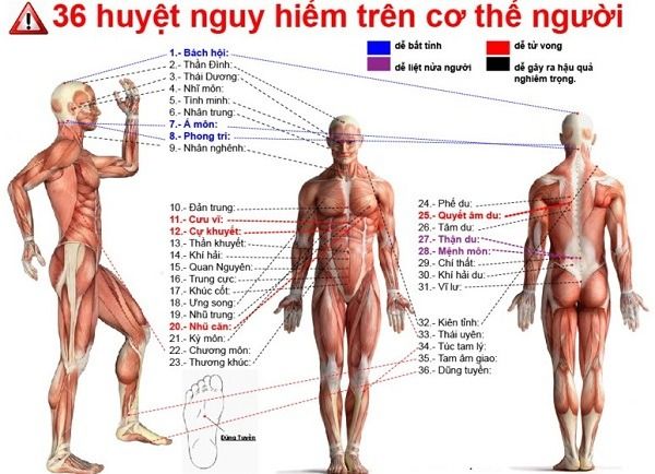 hieu-ve-phuong-phap-massage-bam-huyet-nhu-the-nao-2